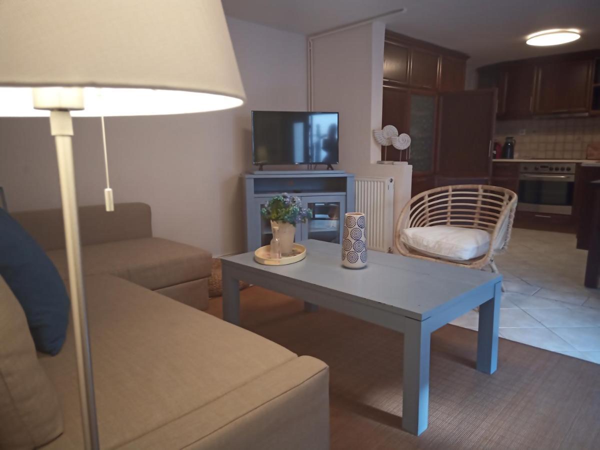 Plateia Apartments 아이오스 니콜라오스 외부 사진